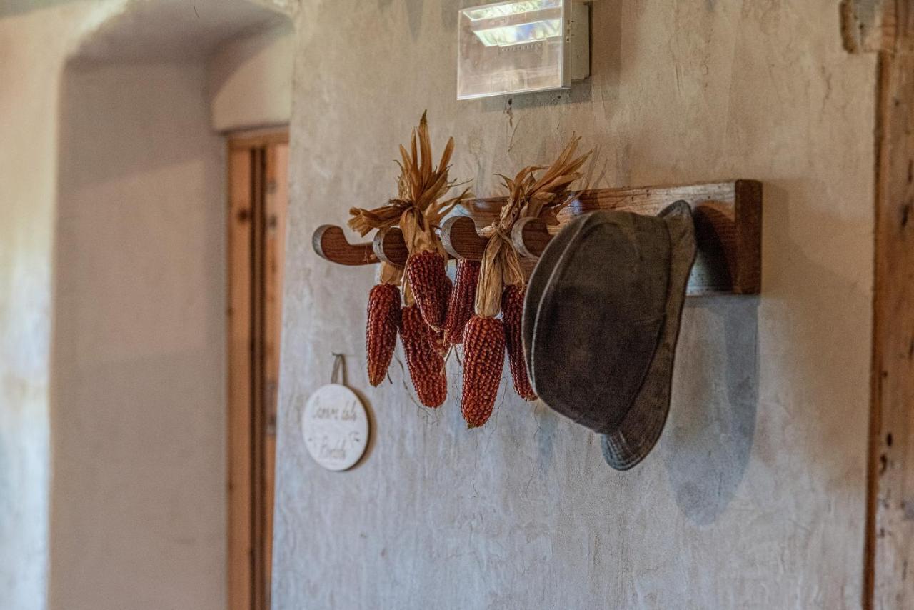 Camera De Le Rondole, Maso Postel - 500 Mt Strada Sterrata Pergine Valsugana Eksteriør billede