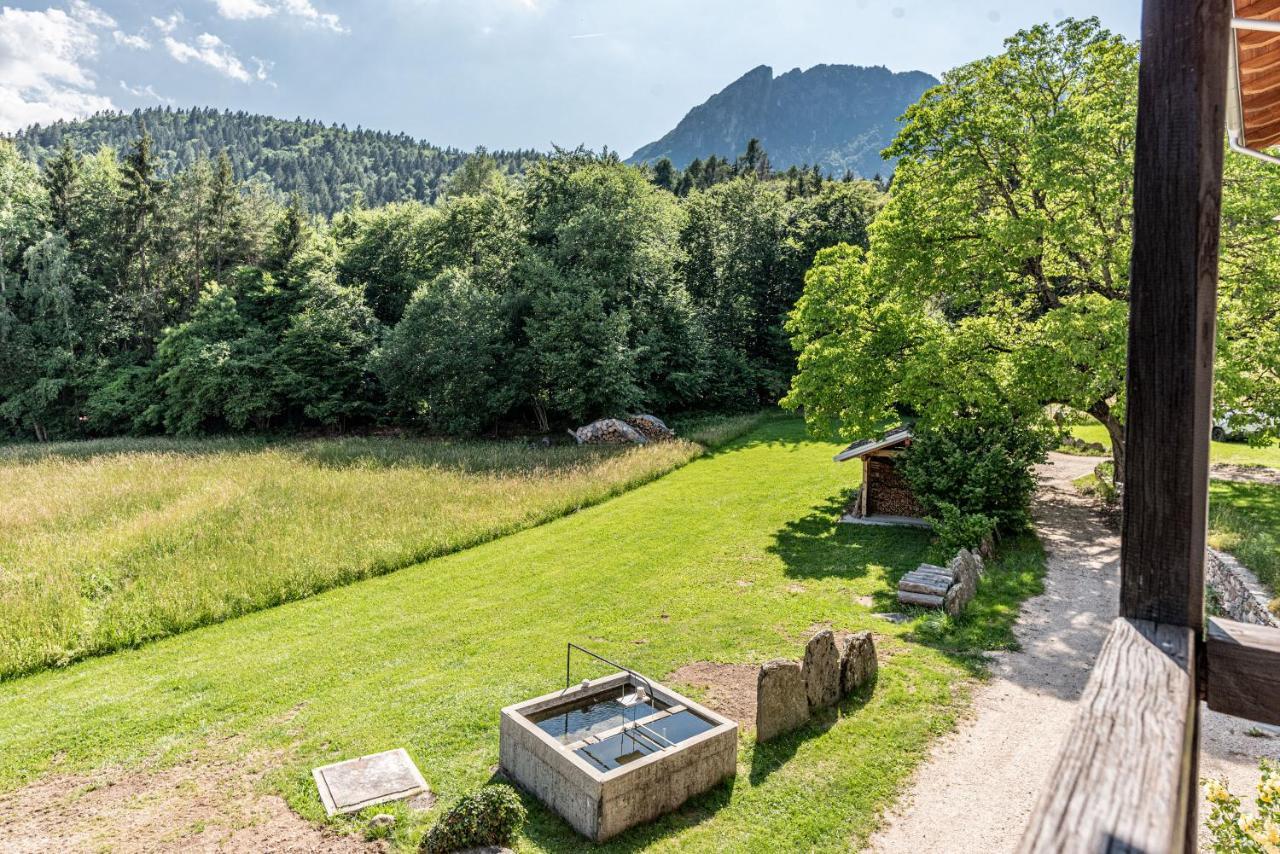 Camera De Le Rondole, Maso Postel - 500 Mt Strada Sterrata Pergine Valsugana Eksteriør billede