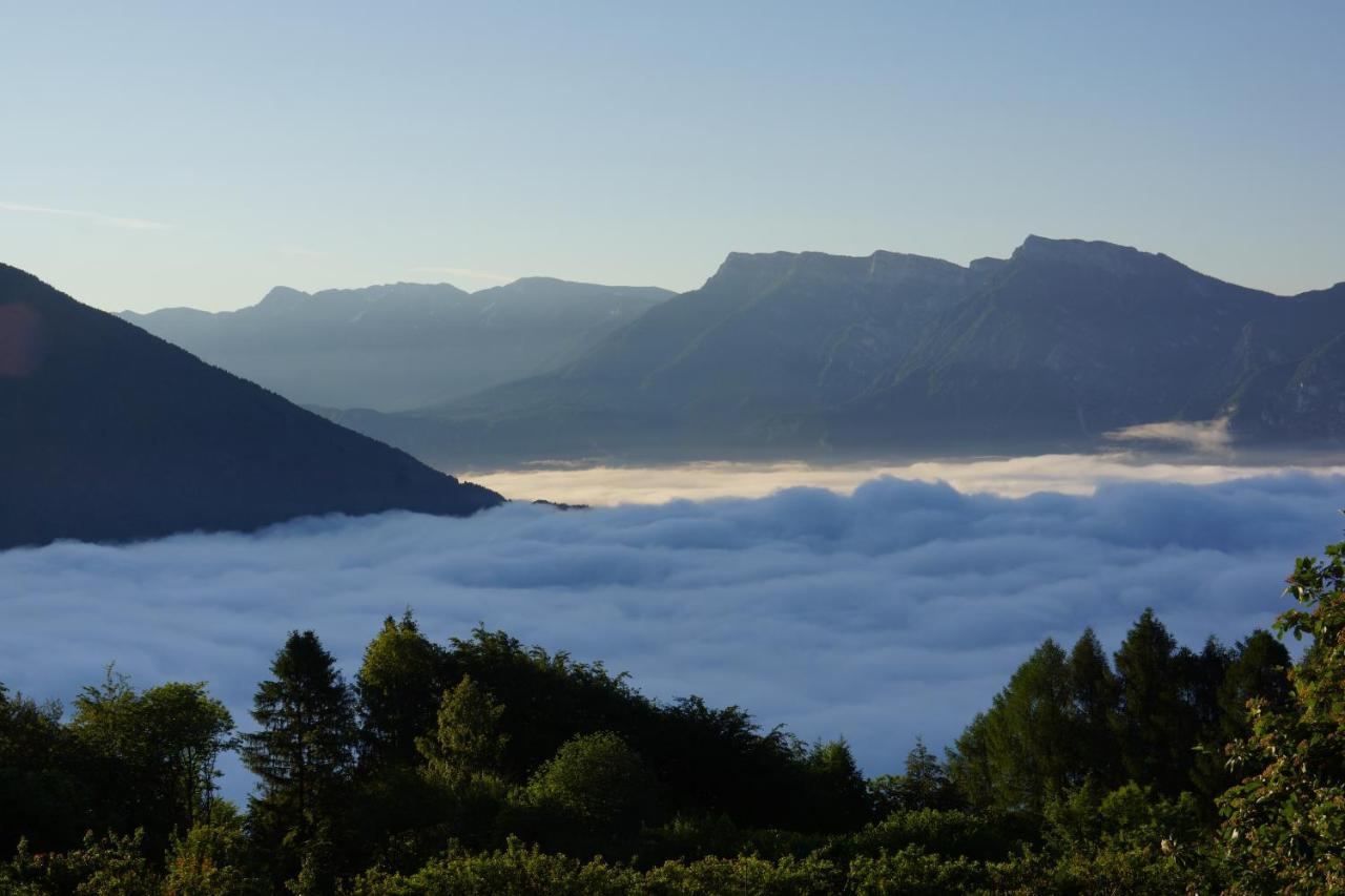 Camera De Le Rondole, Maso Postel - 500 Mt Strada Sterrata Pergine Valsugana Eksteriør billede