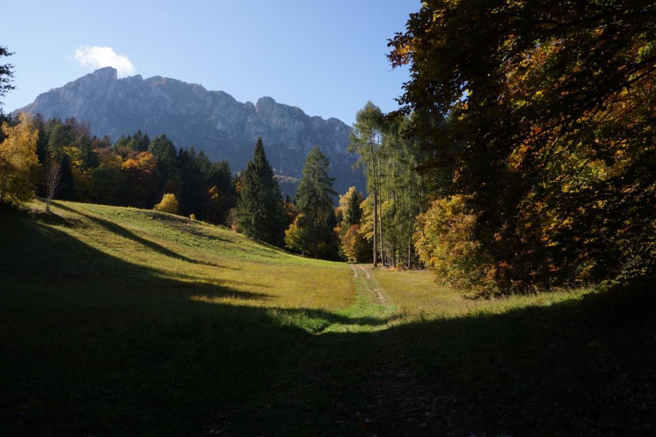Camera De Le Rondole, Maso Postel - 500 Mt Strada Sterrata Pergine Valsugana Eksteriør billede